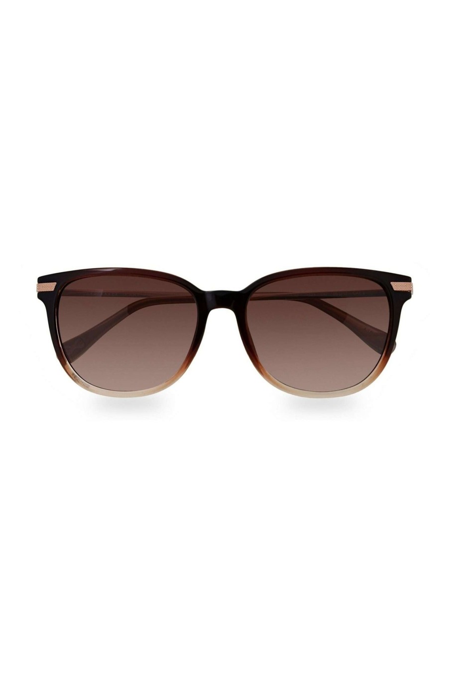 Homeware * | Ted Baker Cali Chocolate Gradient Sunglasses Quick Delivery