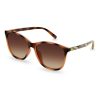 Homeware * | Ted Baker Brown Large Fashion Frame Sunglasses New Threads