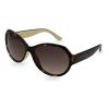 Homeware * | Ted Baker Agnes Tortoiseshell & Cream Sunglasses Opening Sales